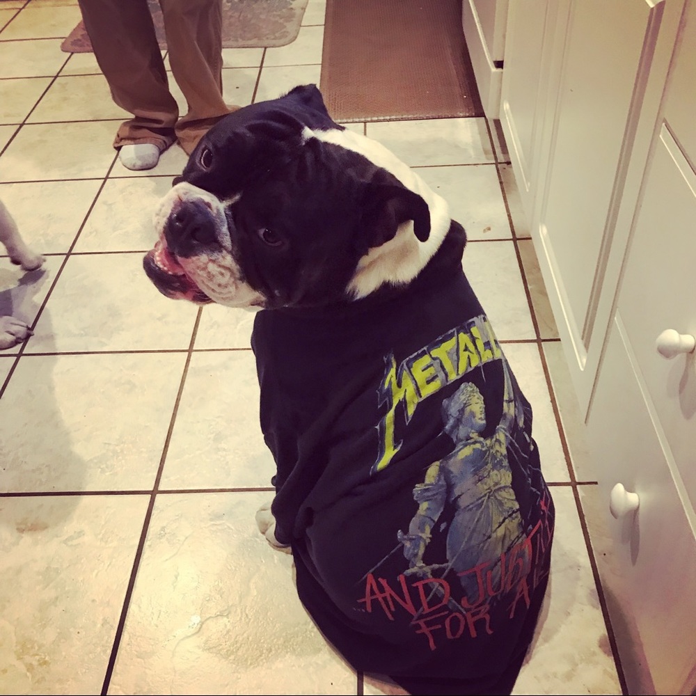 Meet your Posher, Misty